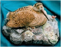 click for larger image